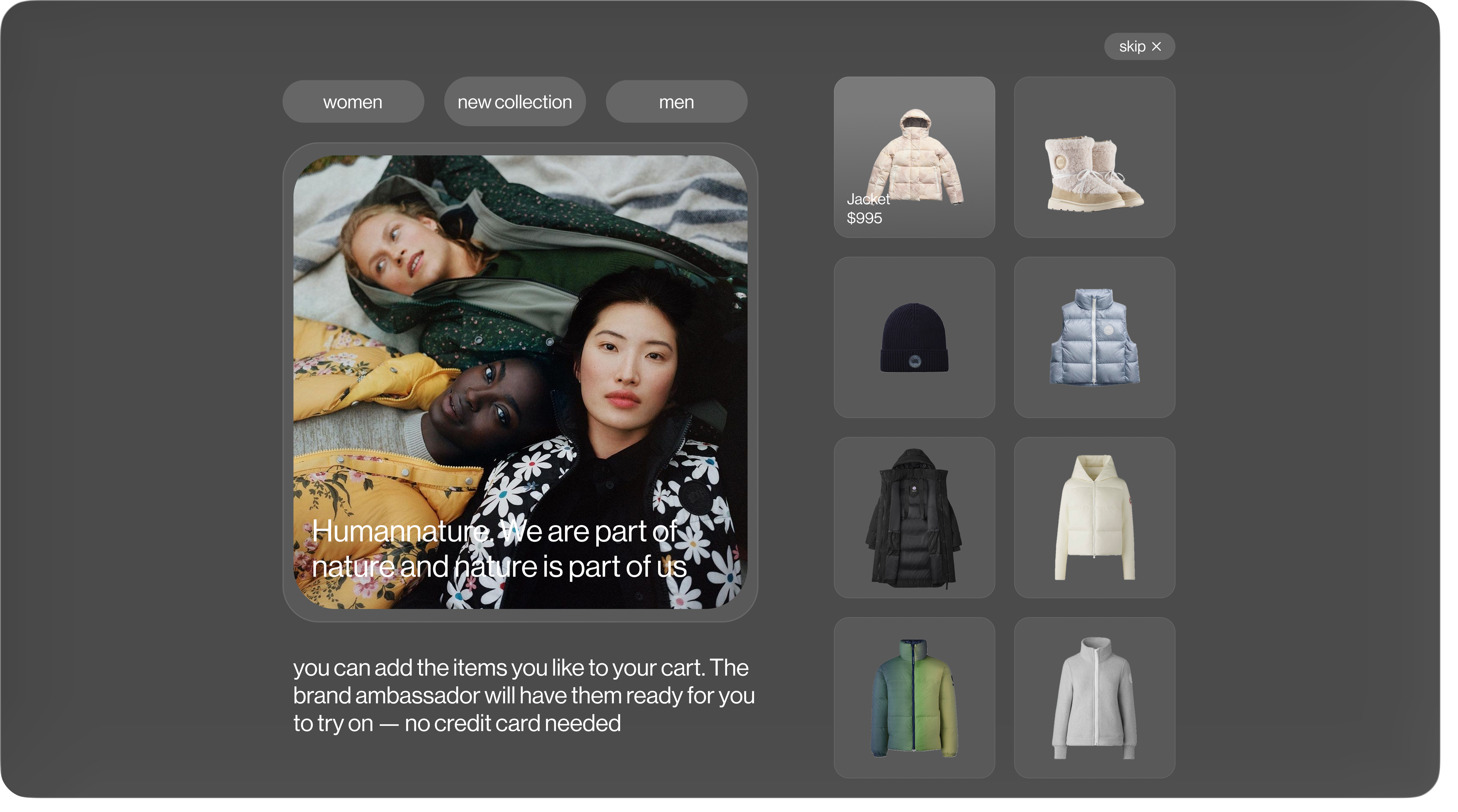Product browsing interface